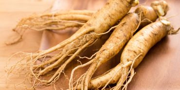 Zoom sur le ginseng