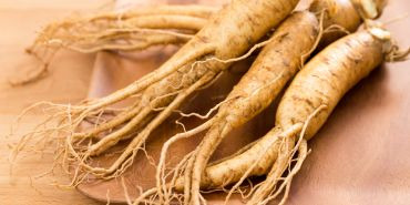 Le ginseng : intérêts et bienfaits