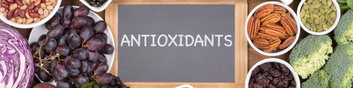 Tout savoir sur les antioxydants