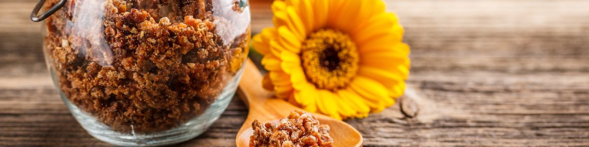 Les bienfaits et vertus de la propolis